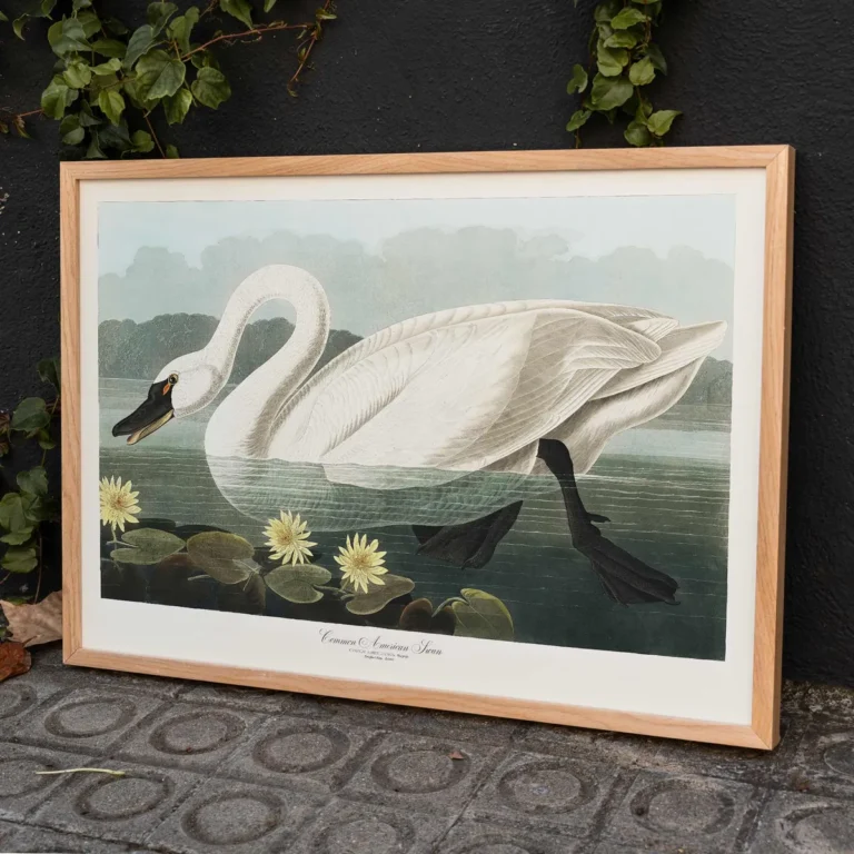 Tournee du Chat Noir