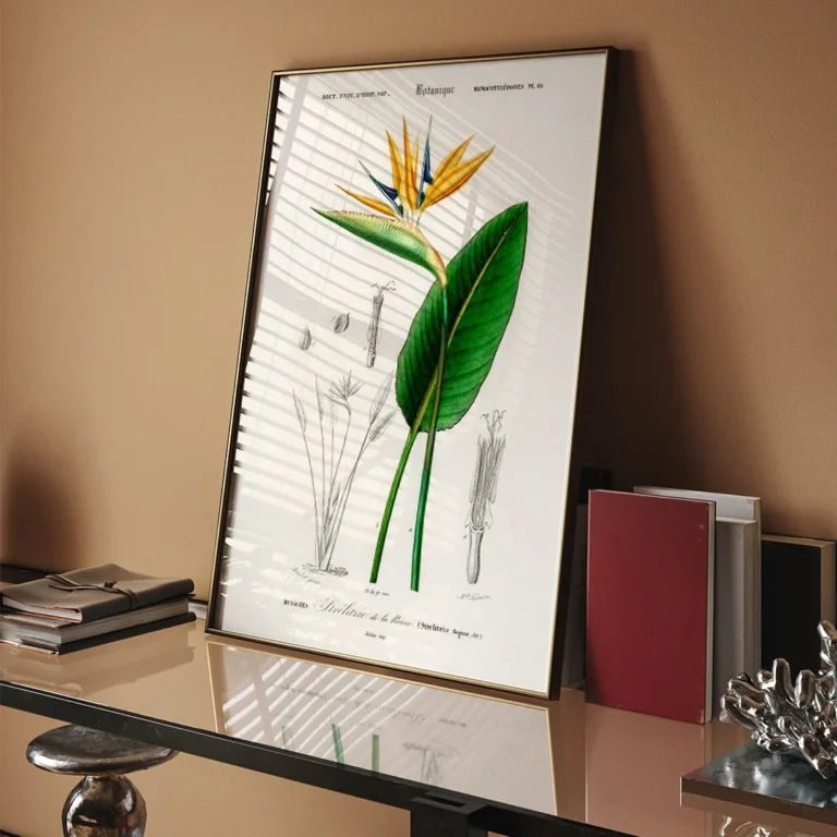 Botanical Rose Folio by Pierre-Joseph Redouté